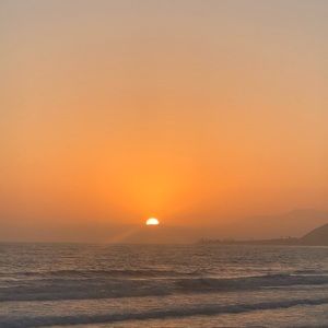 Meet your Posher, Lou